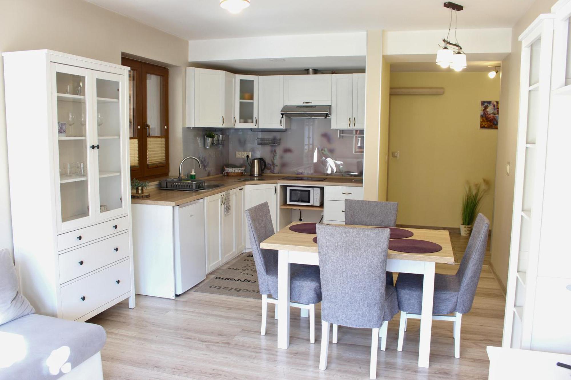 Apartamenty Pod Niedzwiedziem II زاكوباني المظهر الخارجي الصورة